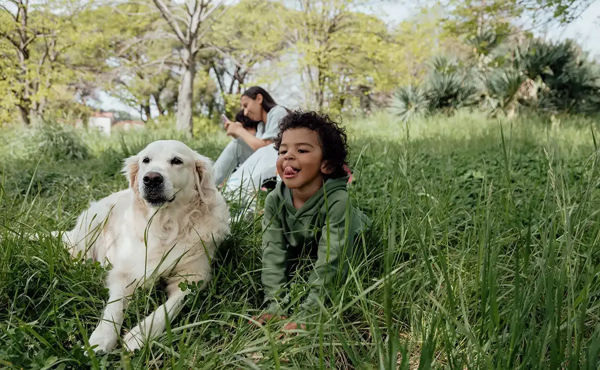 ASISA insurance for pets