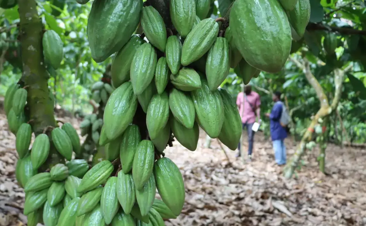 Ghana