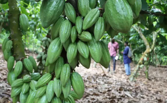 Ghana